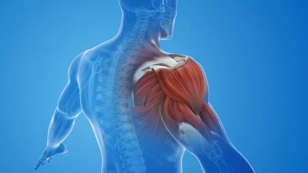 Prise en charge globale des patients nécessitant une chirurgie de l’épaule